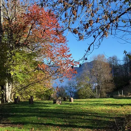 Chapamama Aillon-le-Vieux